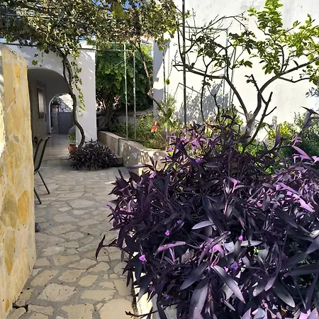 Poseidon Apartment